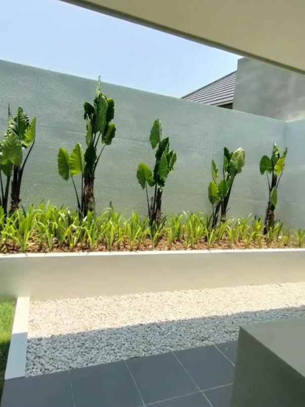 dijual rumah sambiroto