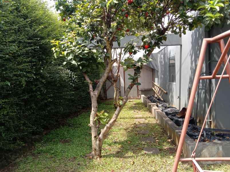 dijual rumah setrasari sukajadi kota