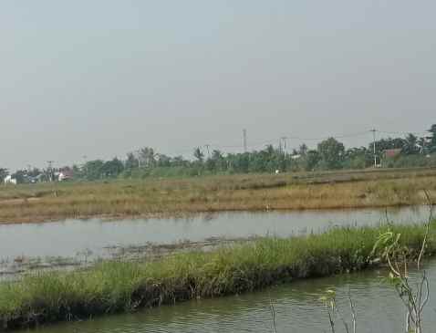 dijual tanah 65 hektar babelan bekasi