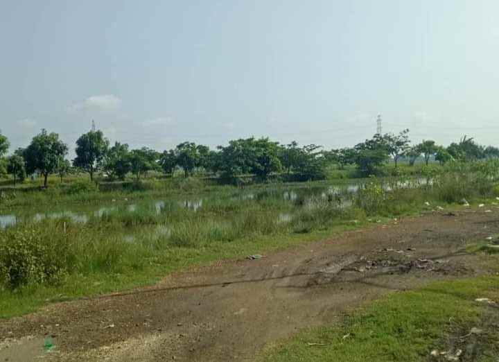 dijual tanah 65 hektar babelan bekasi