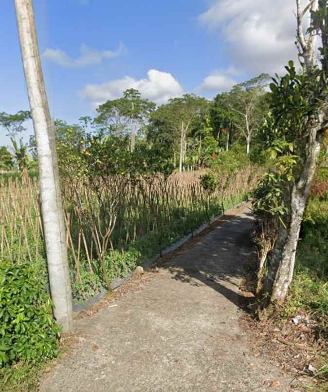 dijual tanah baturiti tabanan bali