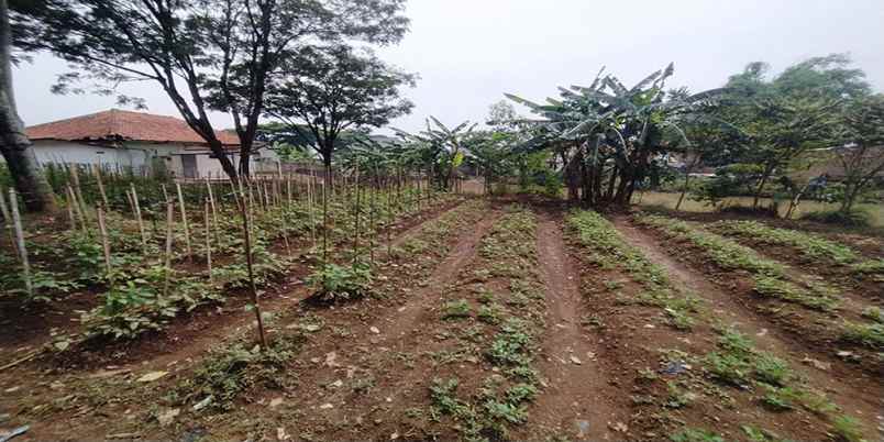 dijual tanah bojongemas