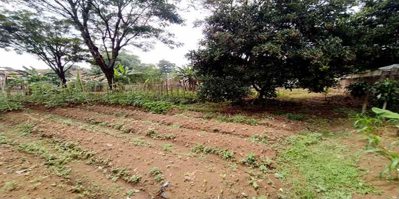 dijual tanah bojongemas