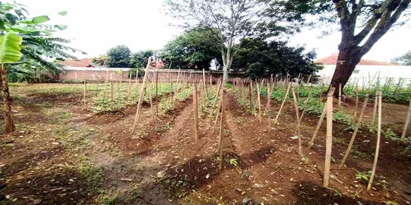 dijual tanah bojongemas