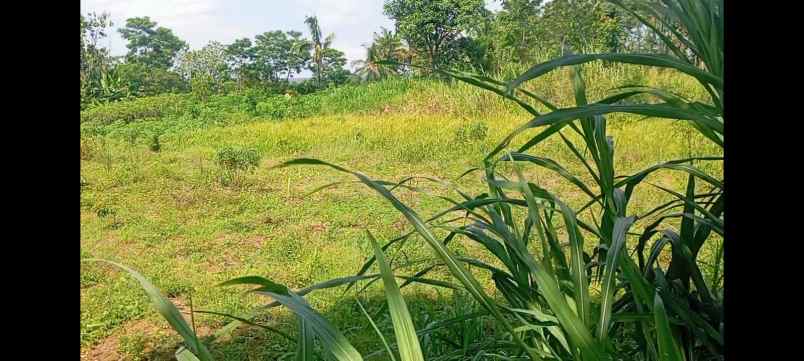 dijual tanah boyolali kota