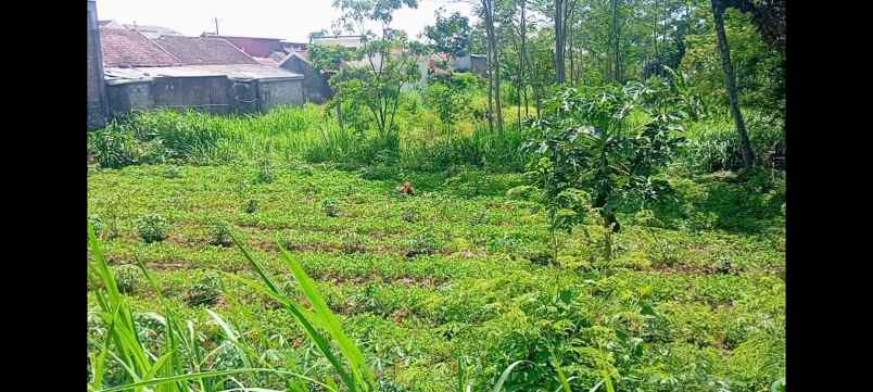 dijual tanah boyolali kota