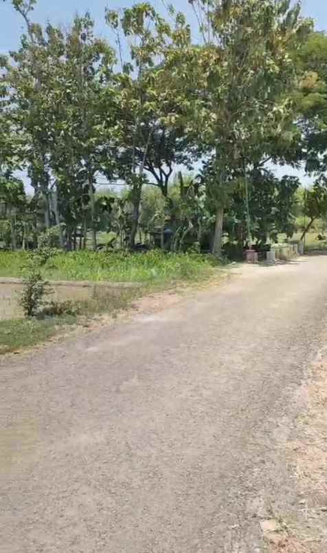 dijual tanah depan jln desa kec dolopo kab madiun
