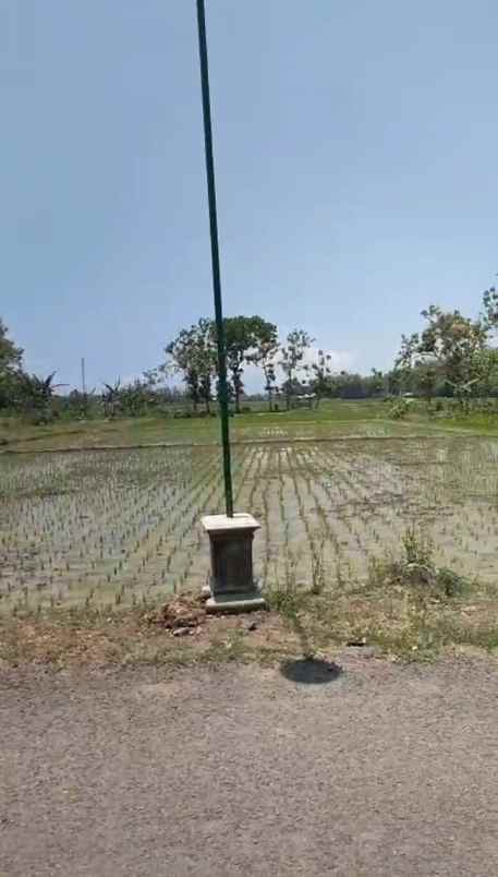 dijual tanah depan jln desa kec dolopo kab madiun