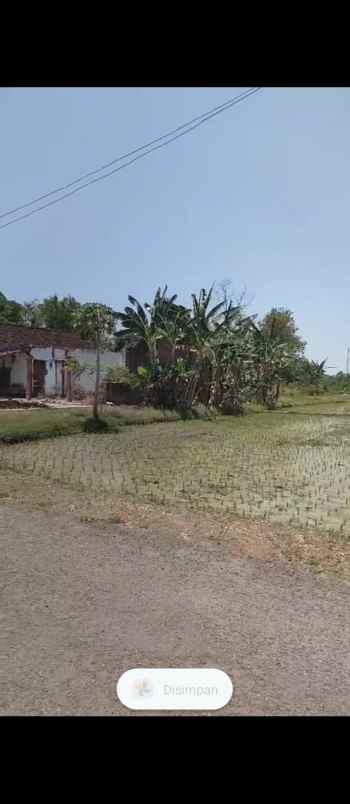 dijual tanah depan jln desa kec dolopo kab madiun