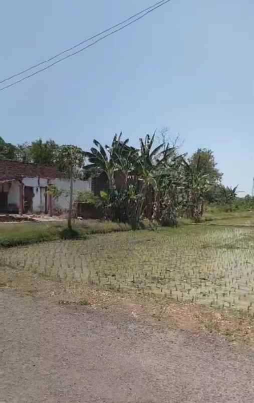 dijual tanah depan jln desa kec dolopo kab madiun