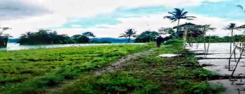 dijual tanah desa balekambang