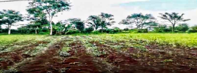 dijual tanah desa balekambang