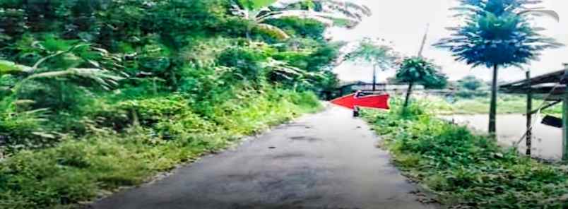 dijual tanah desa balekambang