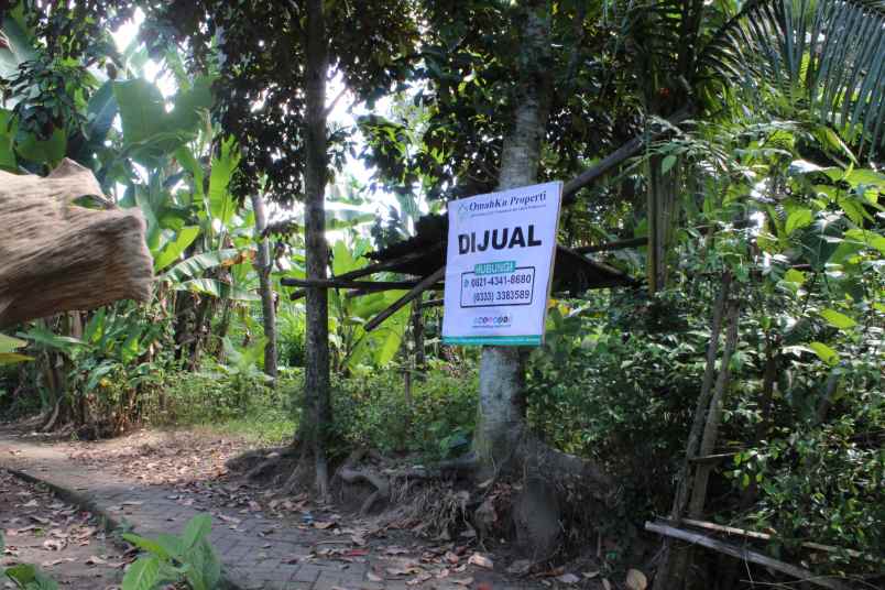 dijual tanah desa banjarsari kec glagah