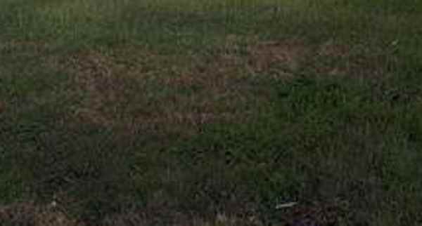 dijual tanah gayungsari