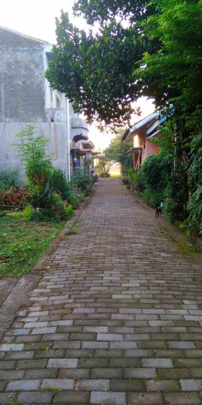 dijual tanah gg wijaya kusuma kepuh wetan