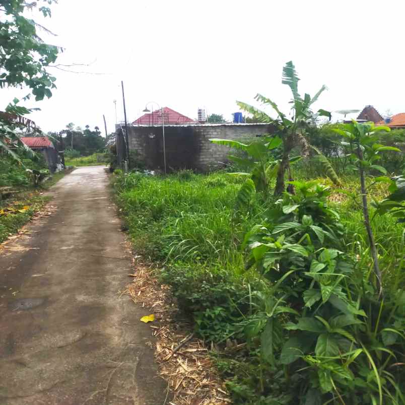 dijual tanah gondang legi kel