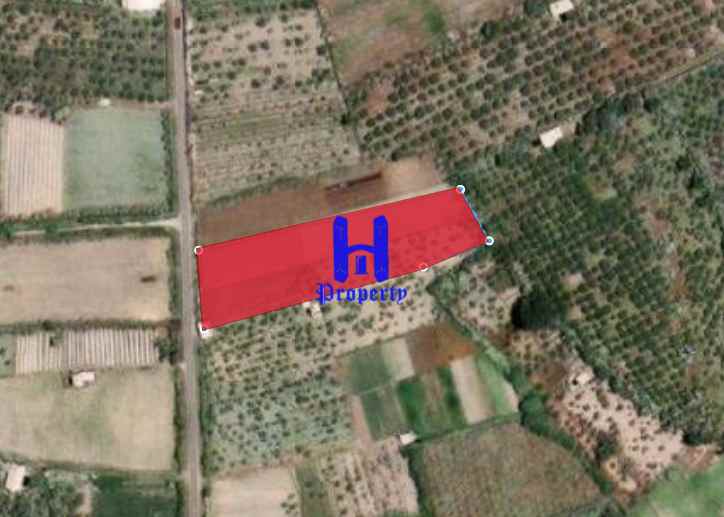 dijual tanah jalan kebun bunga dolat