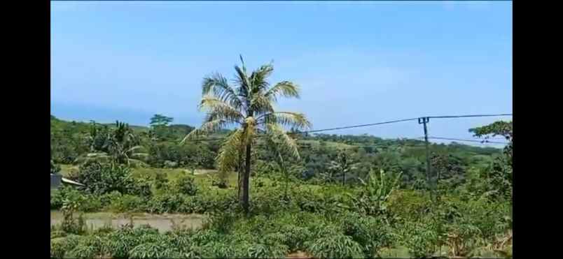 dijual tanah jalan raya pantai cijayana