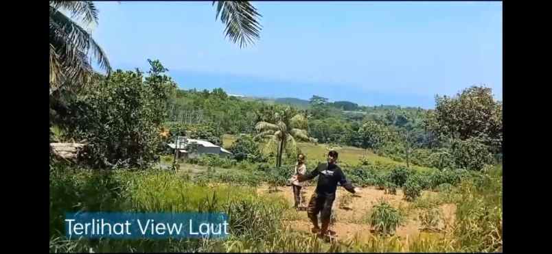 dijual tanah jalan raya pantai cijayana