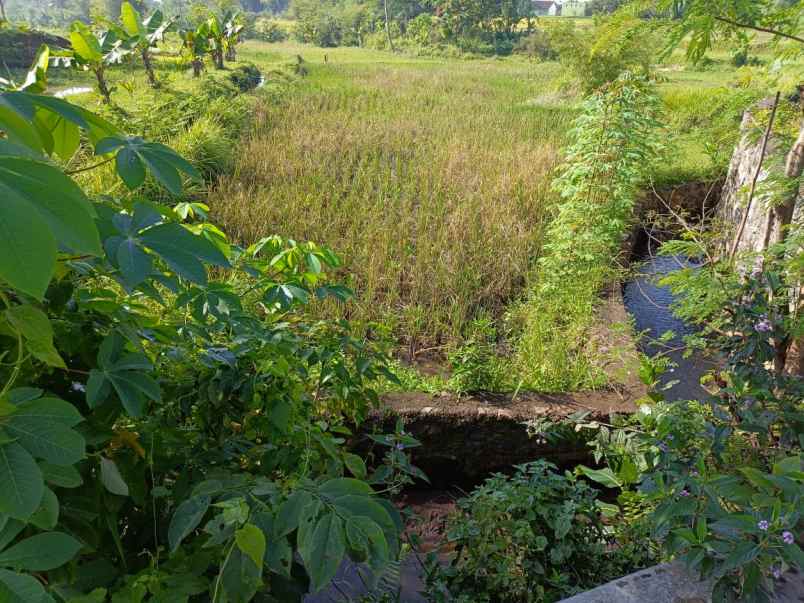 dijual tanah jalan sukasari