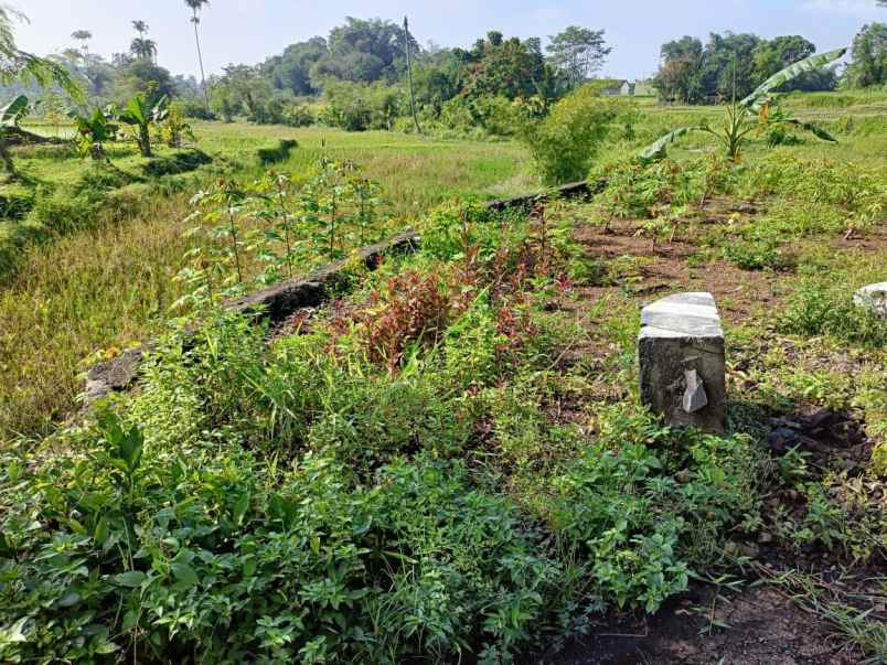 dijual tanah jalan sukasari