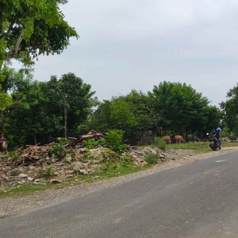 dijual tanah jl pura matsuka