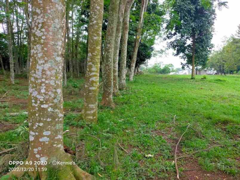 dijual tanah jl rancaiyuh