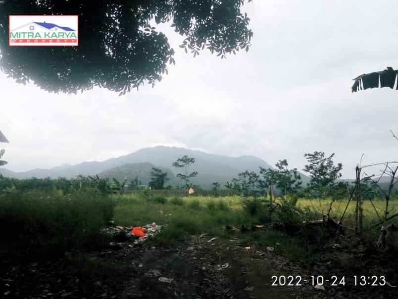 dijual tanah jl raya transyogi suka