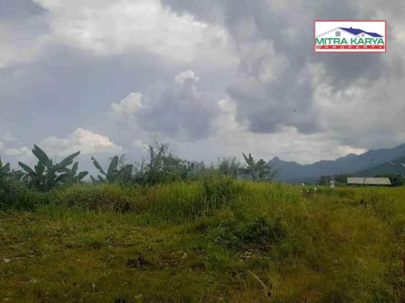 dijual tanah jl raya transyogi suka