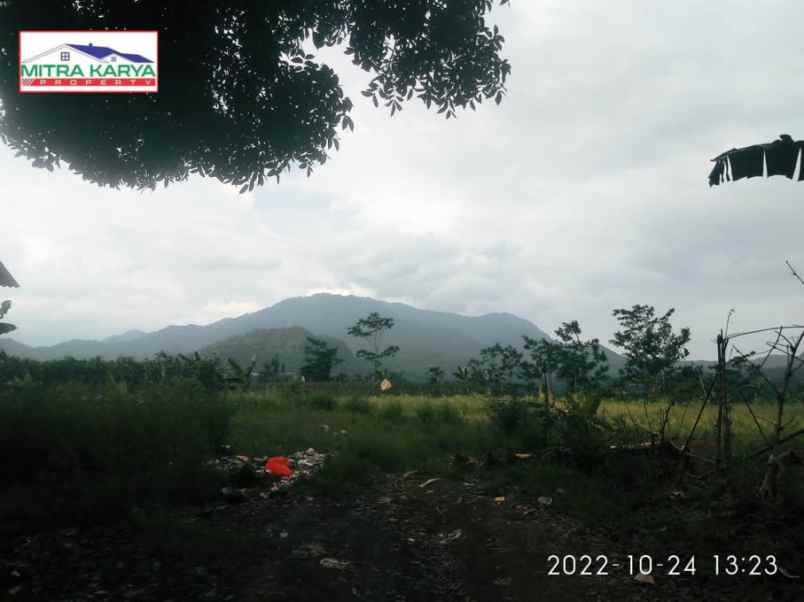 dijual tanah jl raya transyogi suka