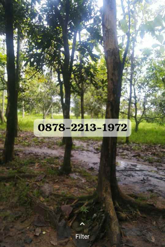 dijual tanah jl trans cileungsi jonggol