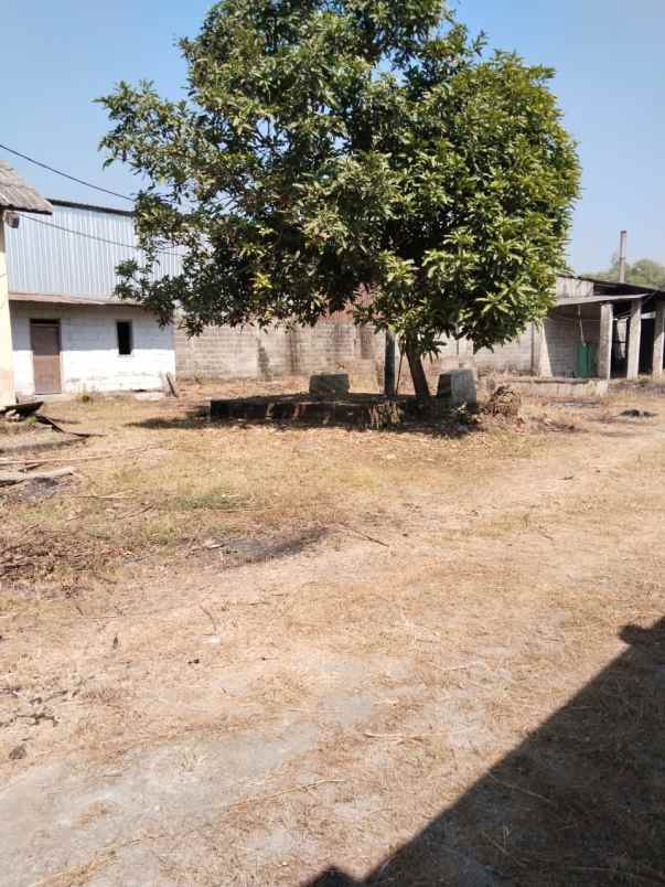 dijual tanah jurangsari