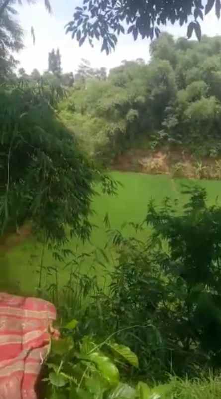 dijual tanah kampung pasir tengah desa