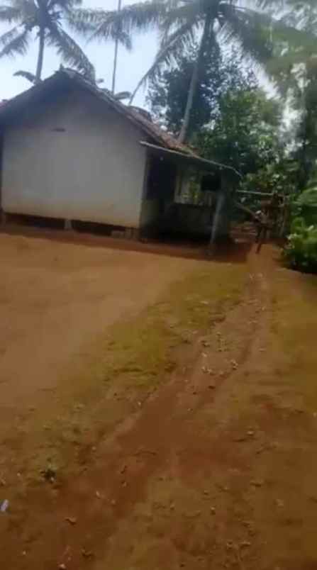 dijual tanah kampung pasir tengah desa