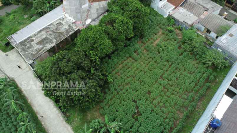 dijual tanah kayu manis