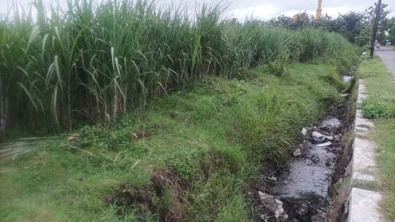 dijual tanah kedung sari kemlagi mojokerto