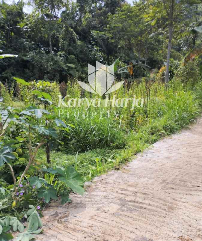 dijual tanah kemuning ngargoyoso