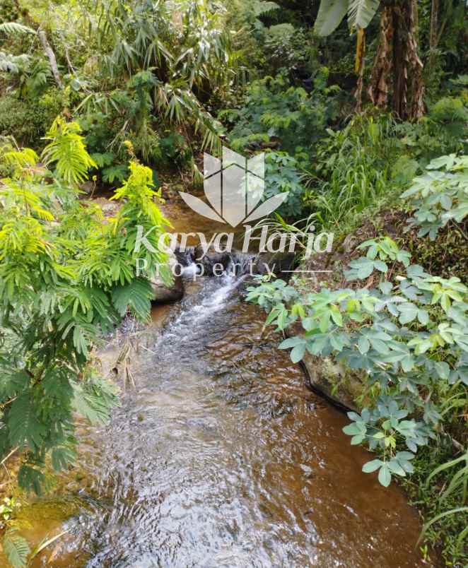 dijual tanah kemuning ngargoyoso