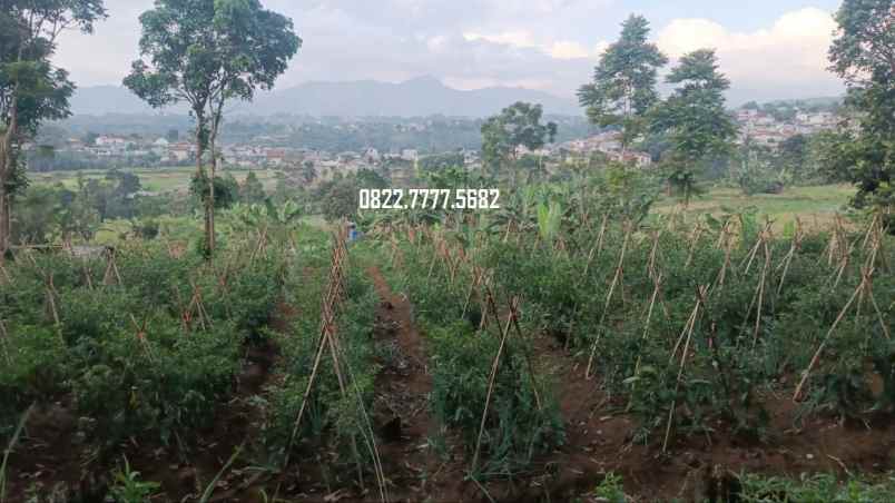 dijual tanah megamendung puncak bogor
