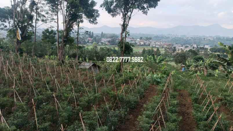 dijual tanah megamendung puncak bogor
