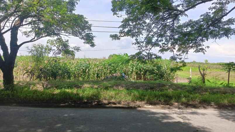 dijual tanah mranggen