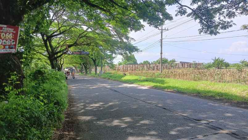 dijual tanah mranggen