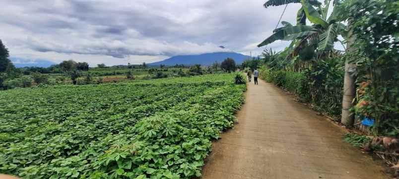 dijual tanah murah di ciherang dramaga kota bogor
