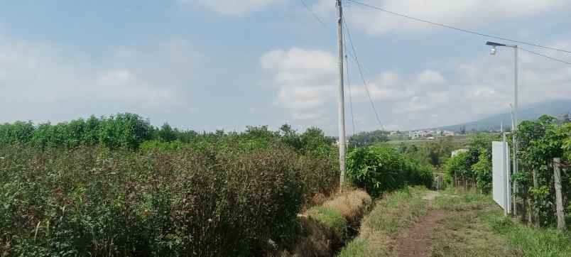 dijual tanah pandanrejo bumiaji