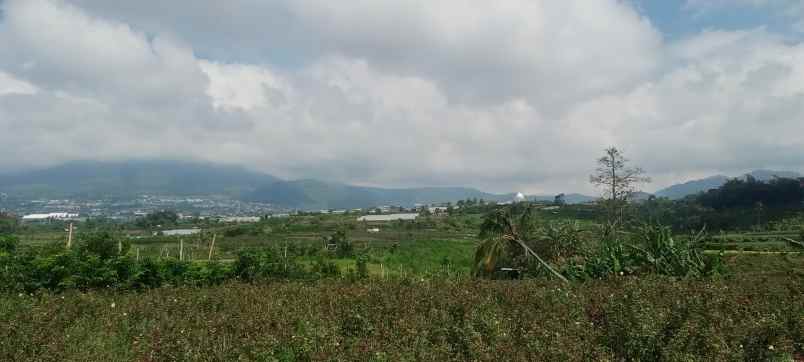 dijual tanah pandanrejo bumiaji
