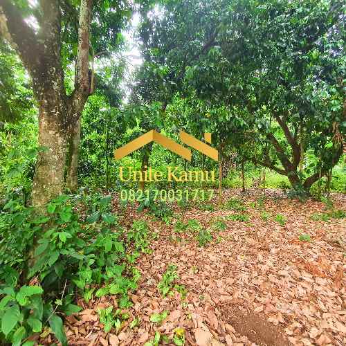 dijual tanah rumpin bogor