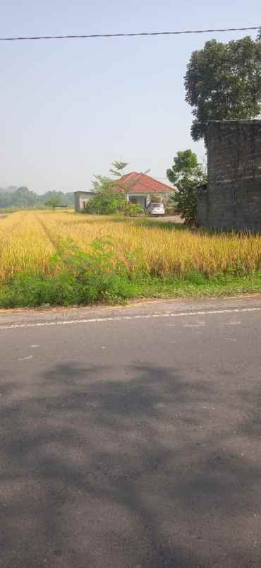 dijual tanah sawah shm di ambarketawang gamping sleman