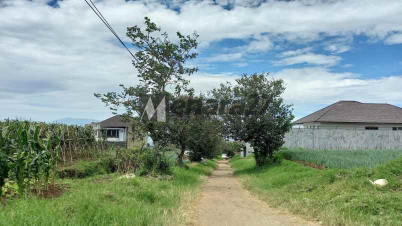 dijual tanah setiabudi regency