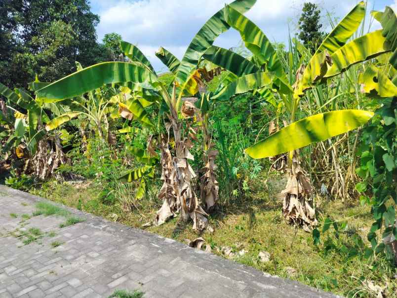 dijual tanah sewon bantul yogyakarta